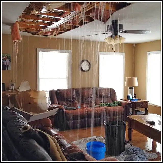 Water Damage Restoration services in Niles, IL