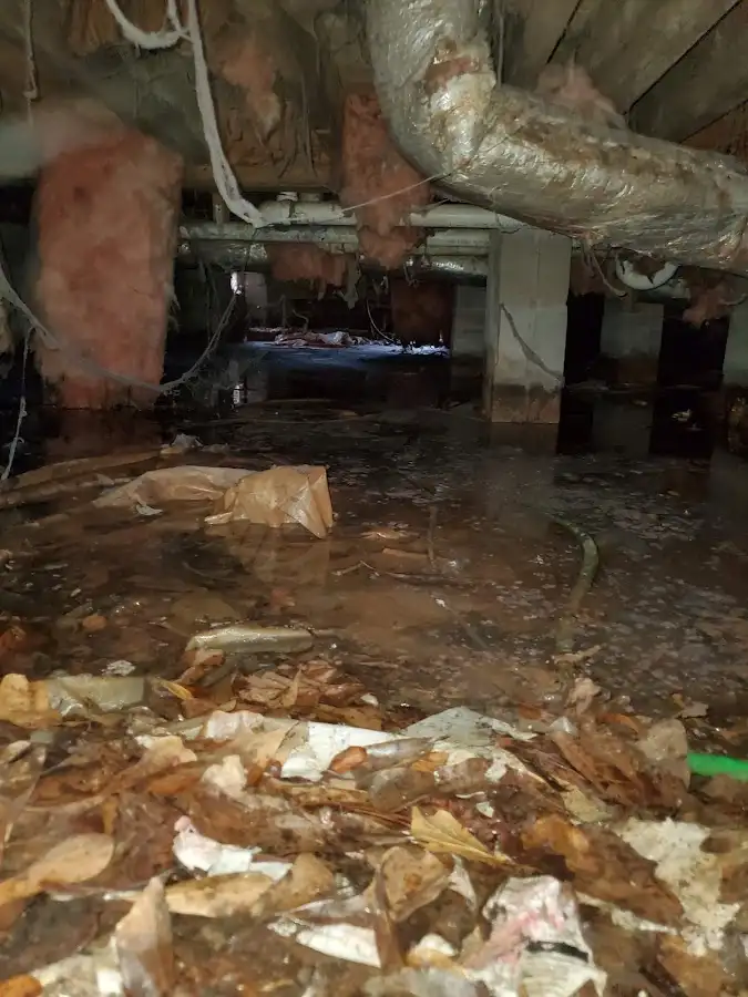 Crawl space flood assessment for Leak Detection & Repair in Niles