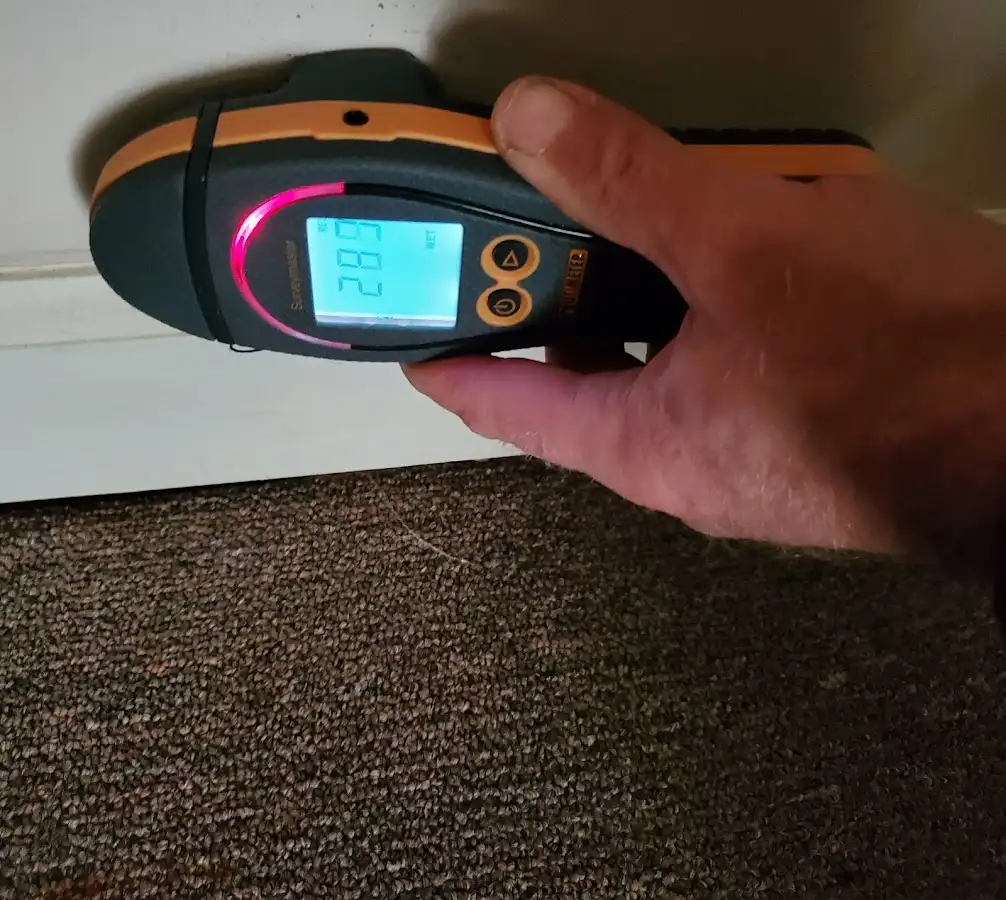 Moisture detection at baseboard during Mold Inspection & Testing in Niles
